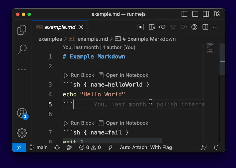 Runners: Notebook & CLI
