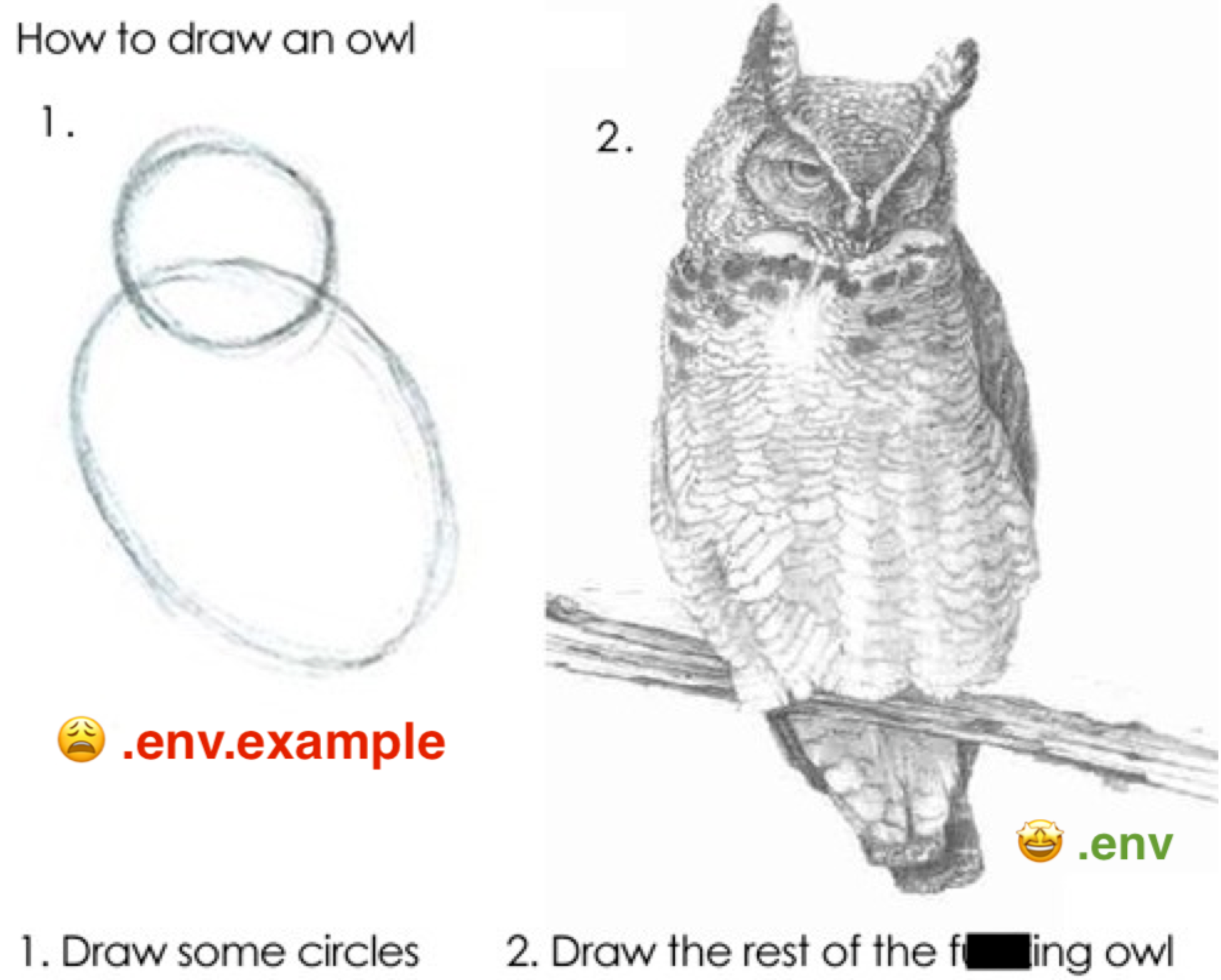 Draw the Owl meme